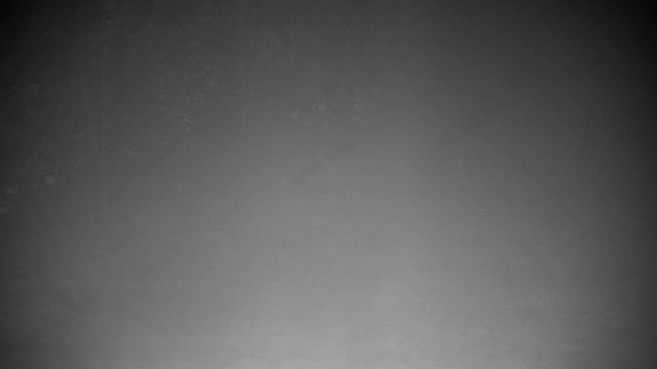 Webcam Ribnik Vrbje – Žalec