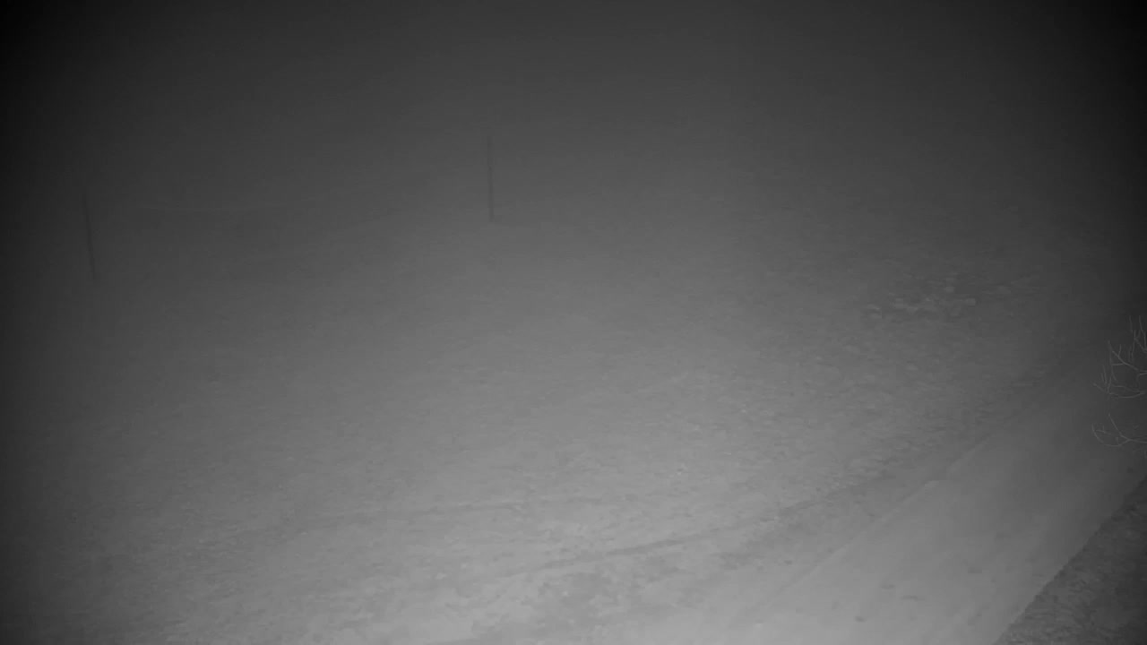 Webcam Ribnik Vrbje – Žalec