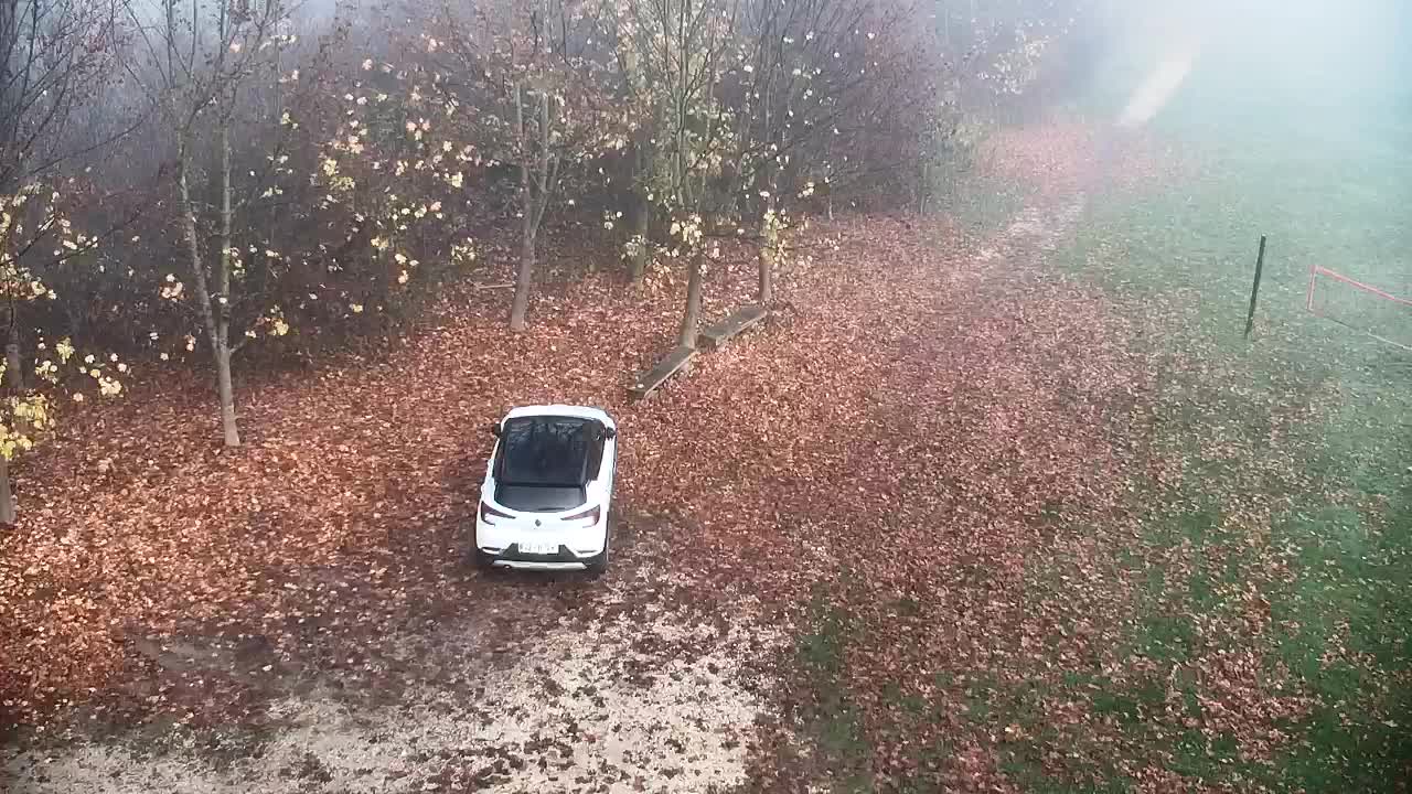 Spletna kamera Ribnik Vrbje – Žalec