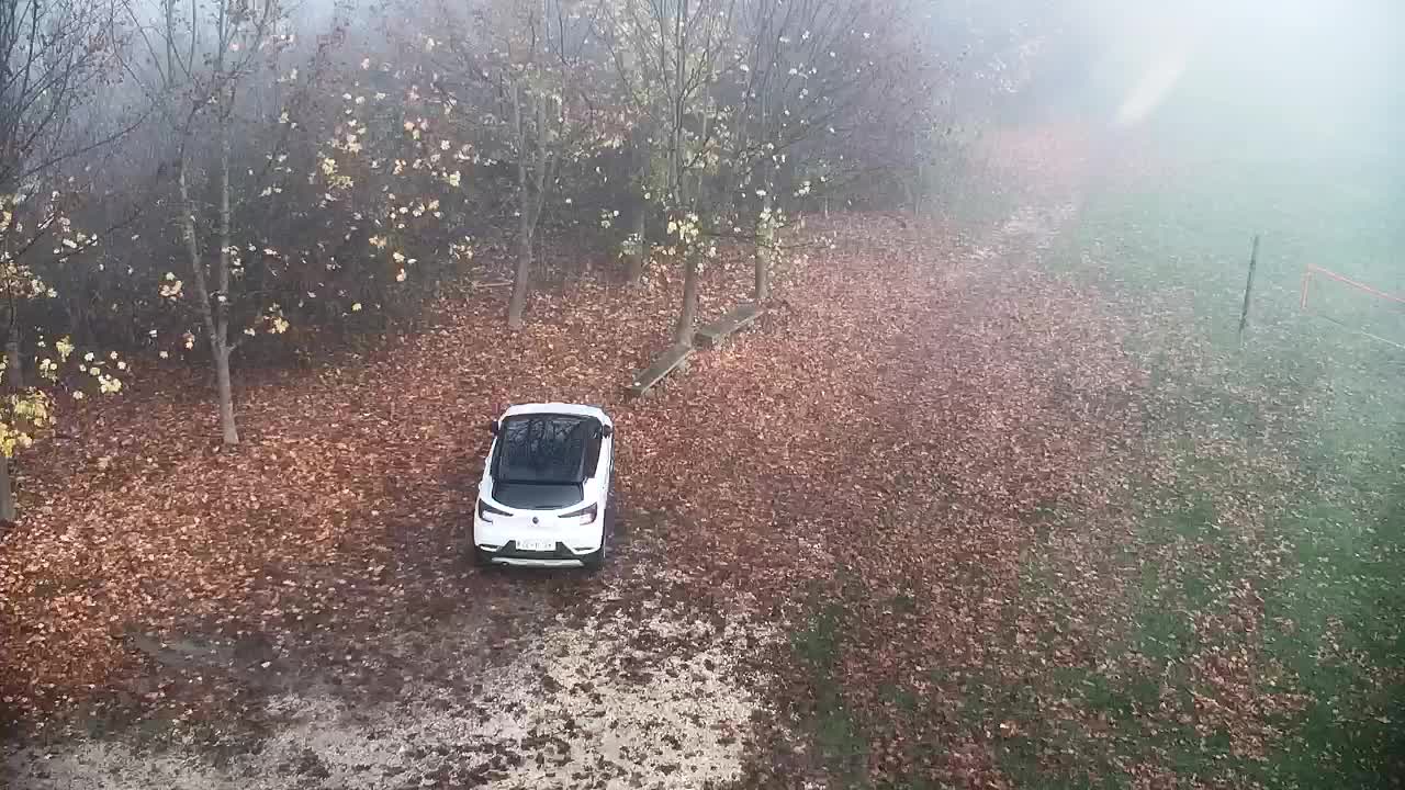 Webcam Ribnik Vrbje – Žalec