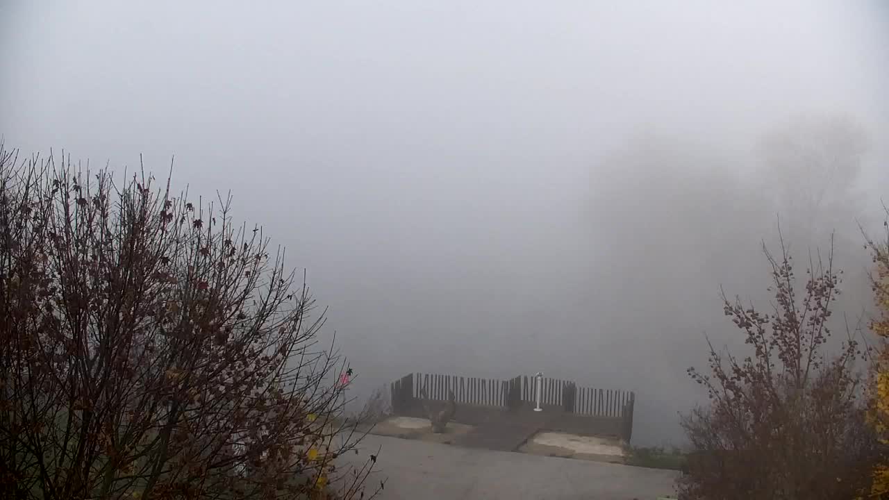 Web kamera Ribnik Vrbje – Žalec