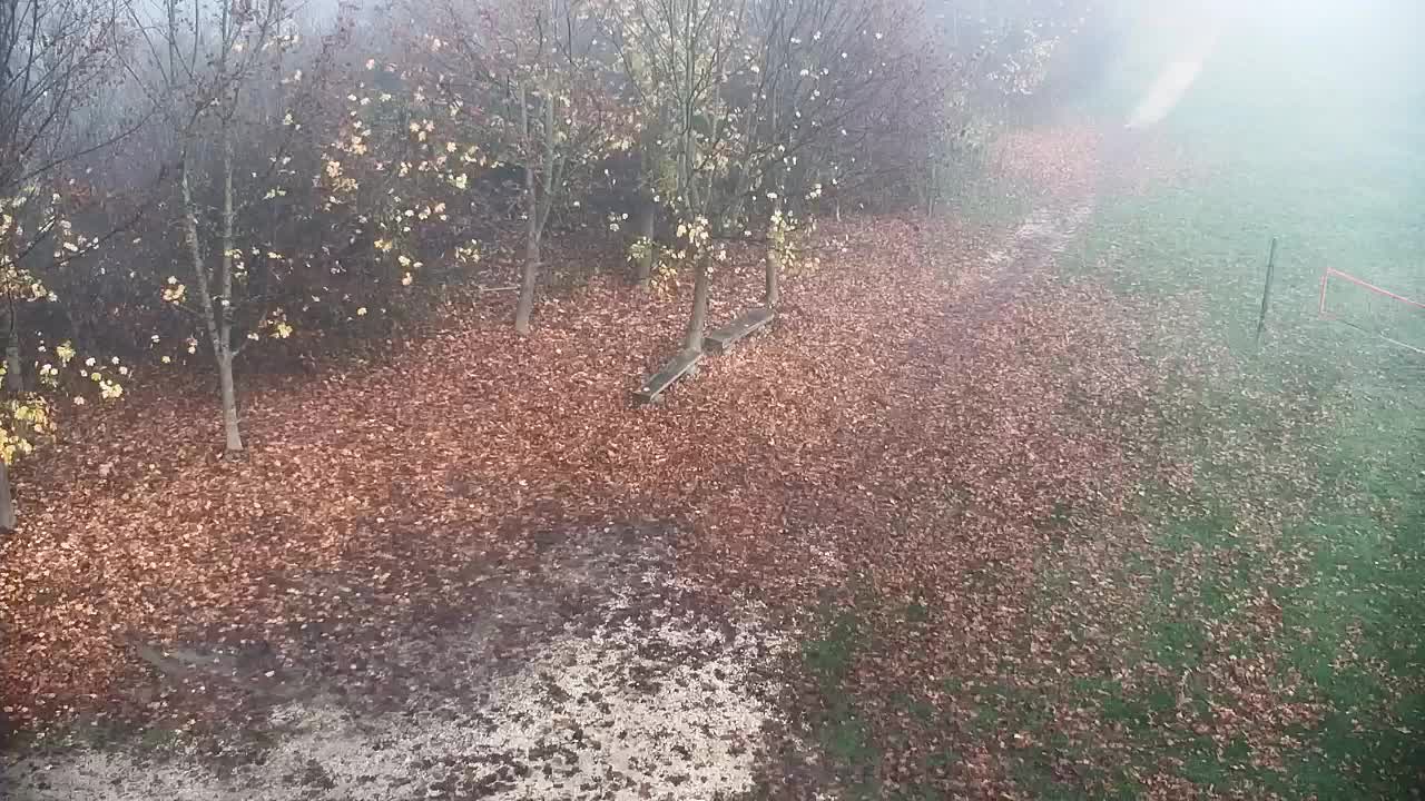 Webcam Ribnik Vrbje – Žalec