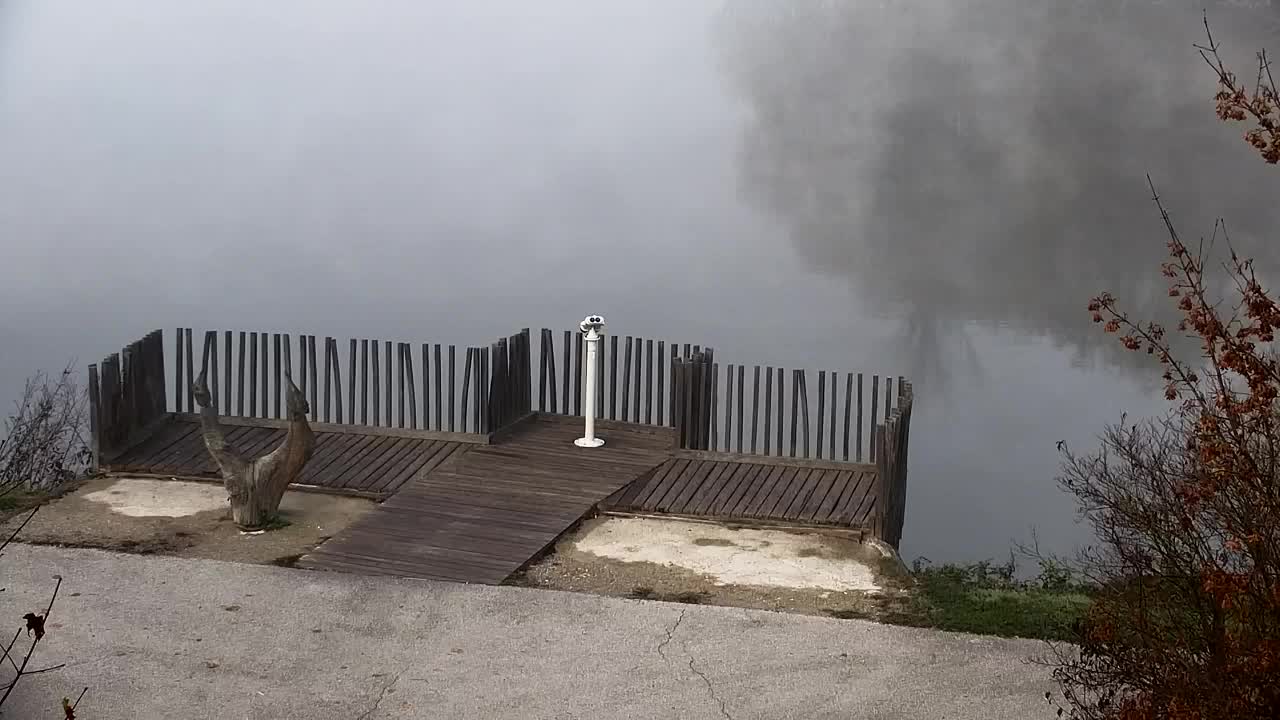 Webcam Ribnik Vrbje – Žalec