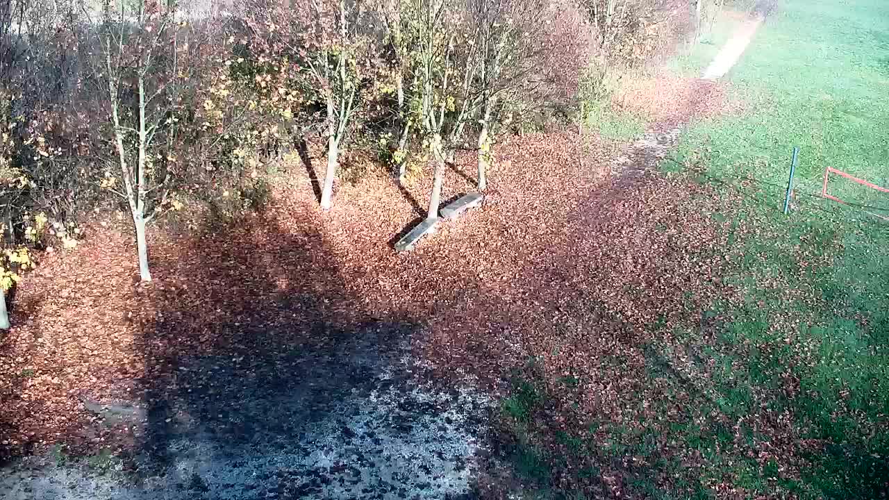 Webcam Ribnik Vrbje – Žalec