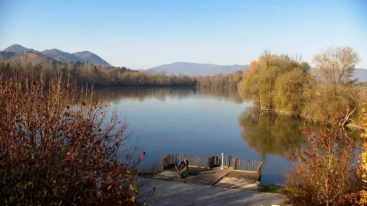 Webcam Ribnik Vrbje – Žalec