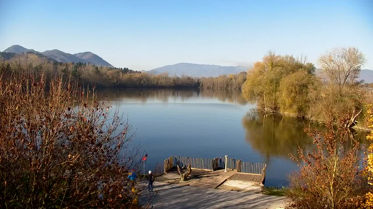 Webcam Ribnik Vrbje – Žalec