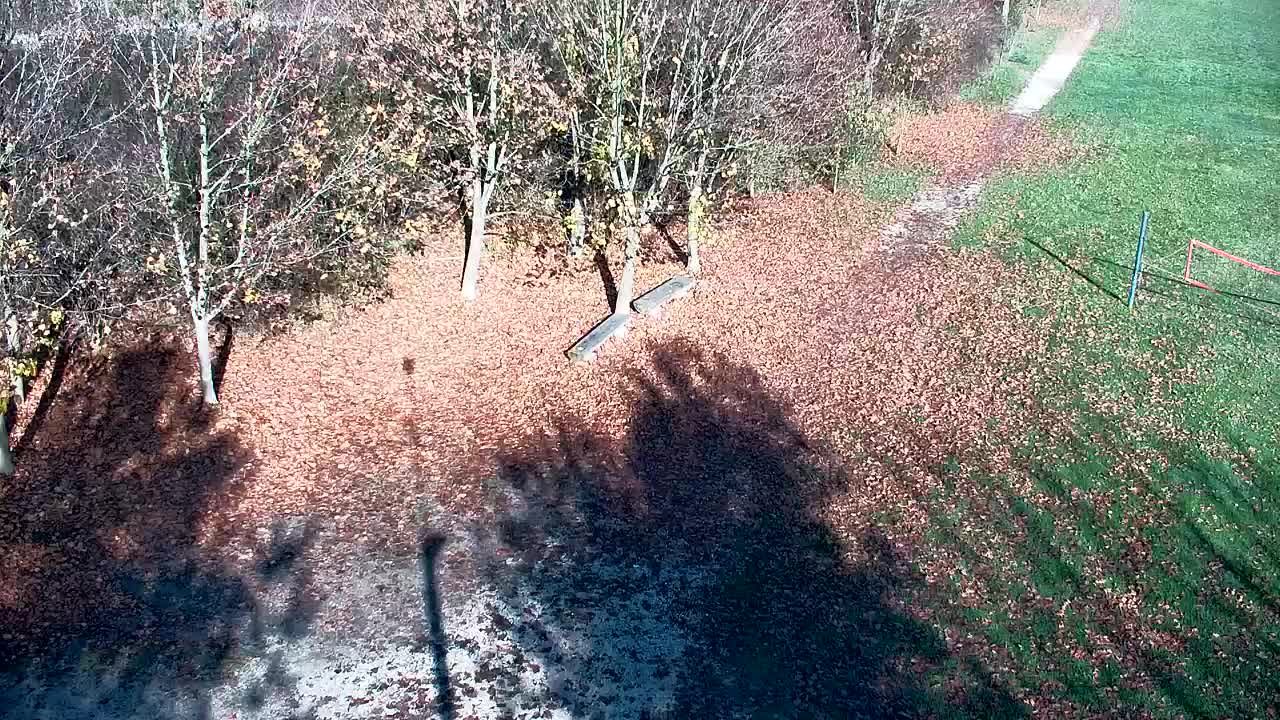 Webcam Ribnik Vrbje – Žalec