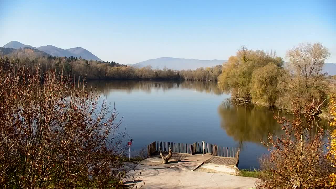Webcam Ribnik Vrbje – Žalec