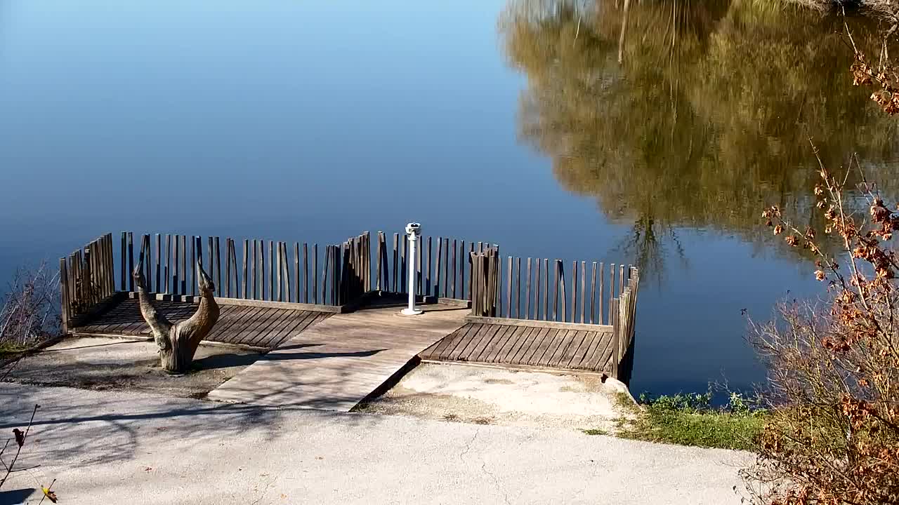 Webcam Ribnik Vrbje – Žalec