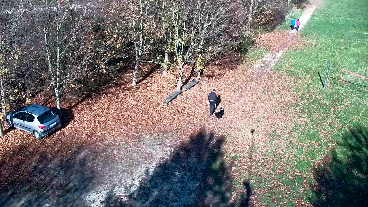 Webcam Ribnik Vrbje – Žalec