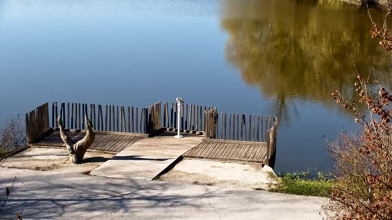 Webcam Ribnik Vrbje – Žalec