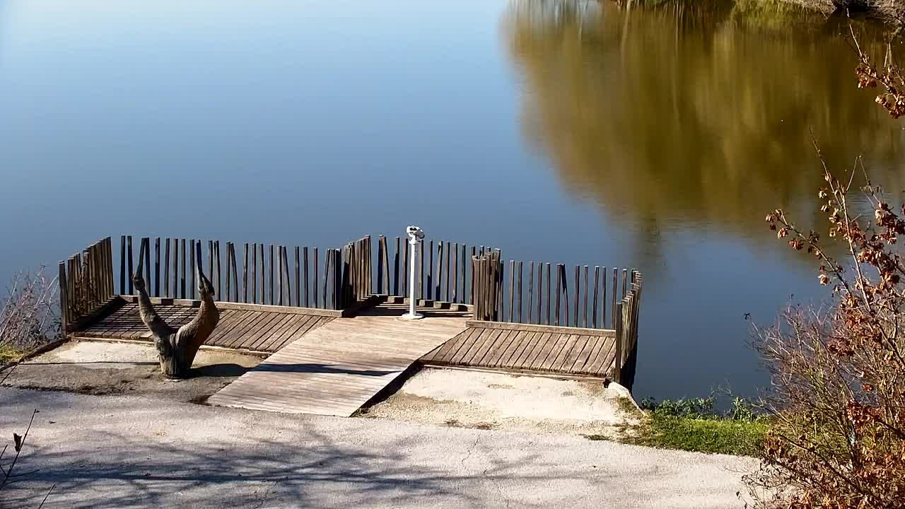 Webcam Ribnik Vrbje – Žalec