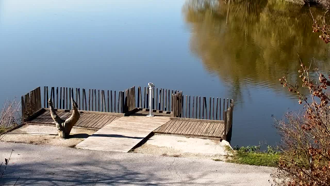 Webcam Ribnik Vrbje – Žalec