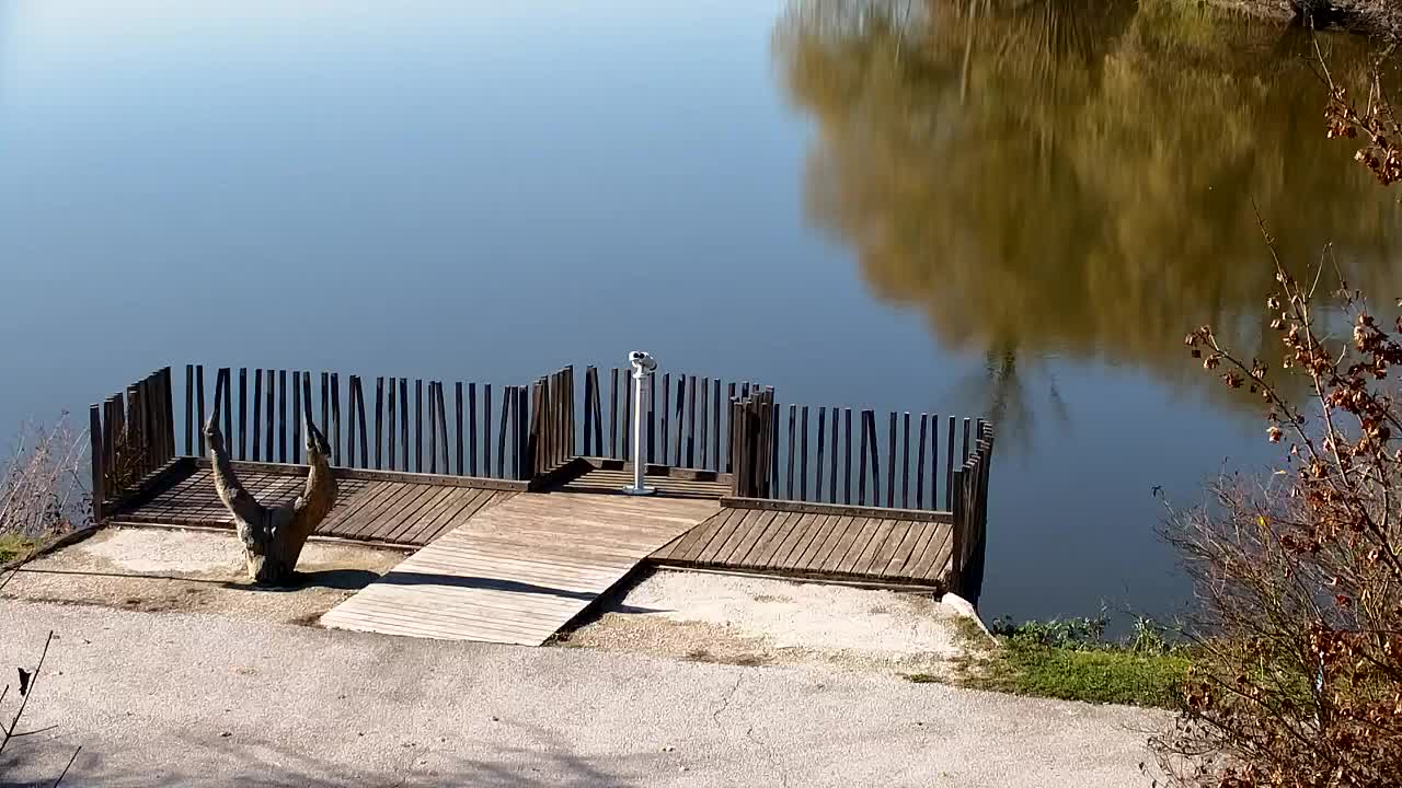 Spletna kamera Ribnik Vrbje – Žalec