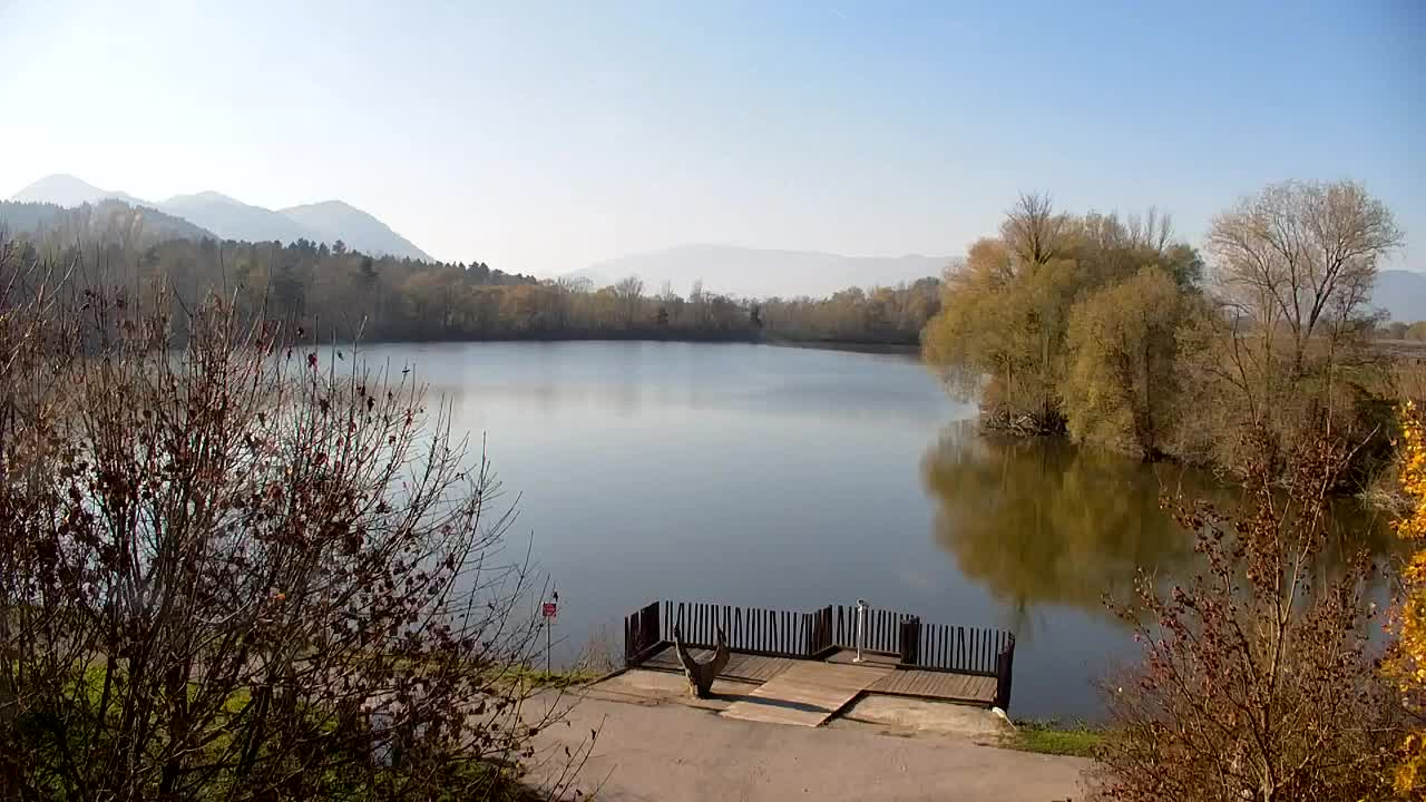 Webcam Ribnik Vrbje – Žalec