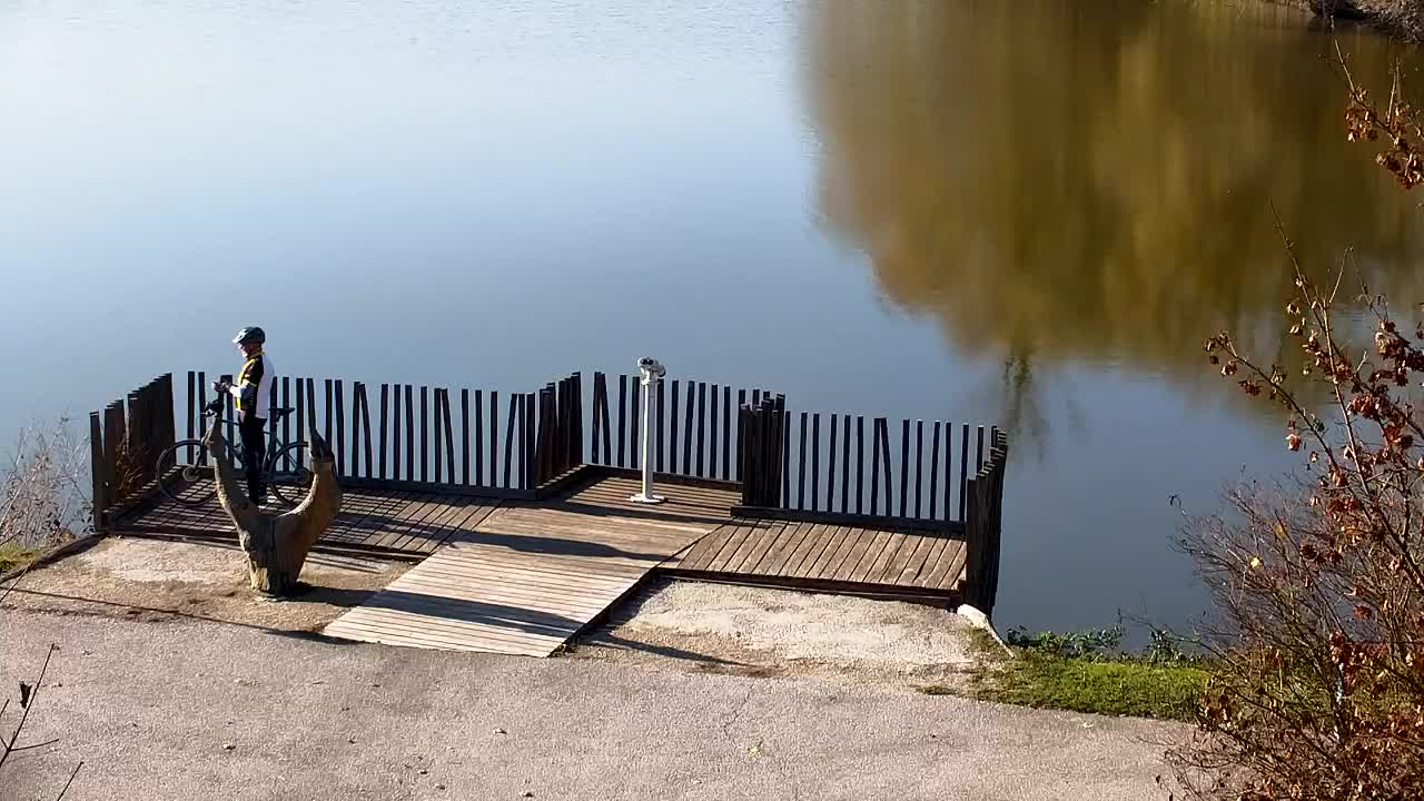 Web kamera Ribnik Vrbje – Žalec