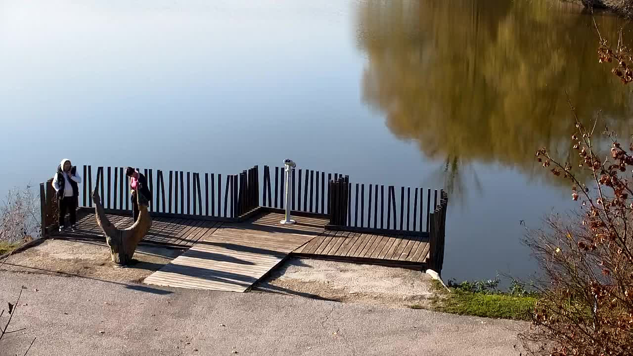 Spletna kamera Ribnik Vrbje – Žalec
