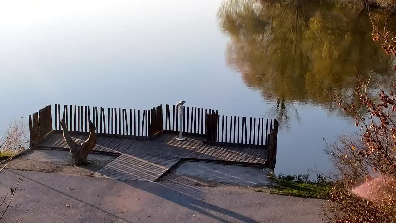 Webcam Ribnik Vrbje – Žalec