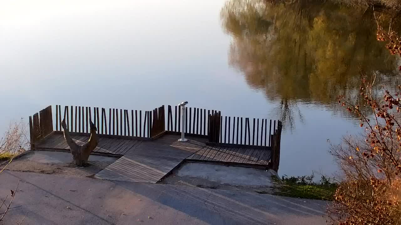 Spletna kamera Ribnik Vrbje – Žalec