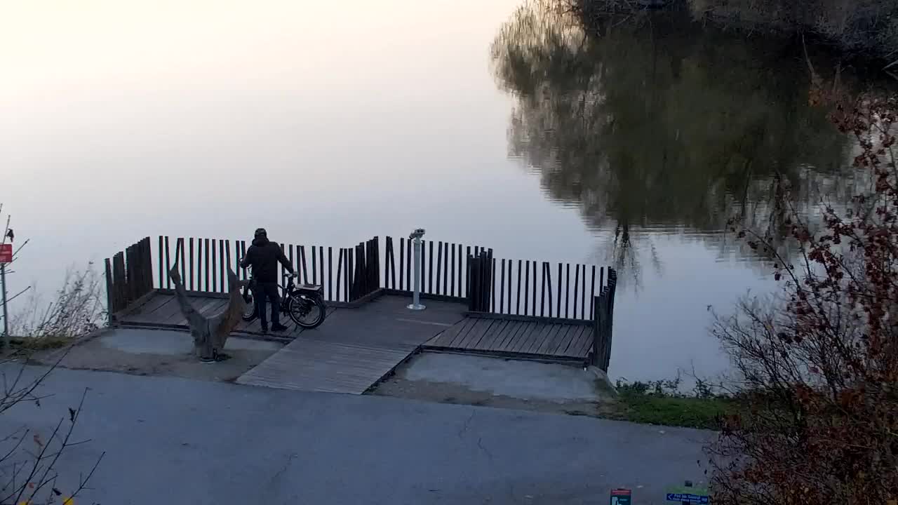 Web kamera Ribnik Vrbje – Žalec