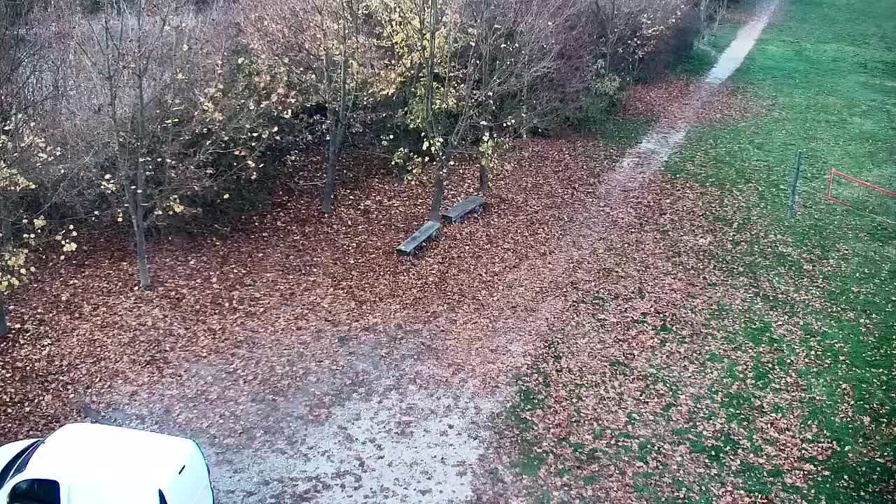 Web kamera Ribnik Vrbje – Žalec