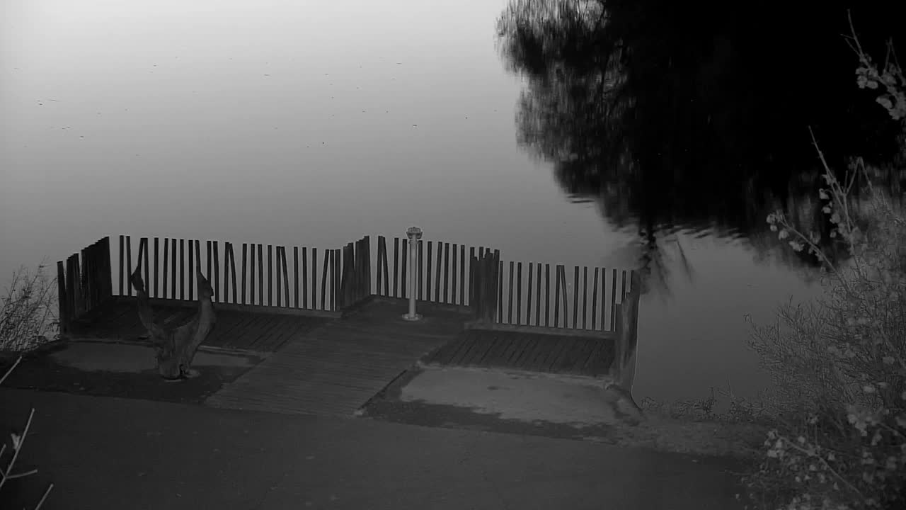 Web kamera Ribnik Vrbje – Žalec