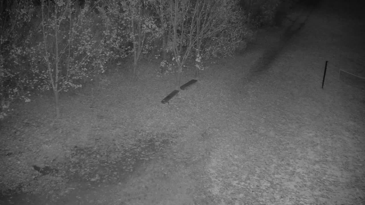 Webcam Ribnik Vrbje – Žalec