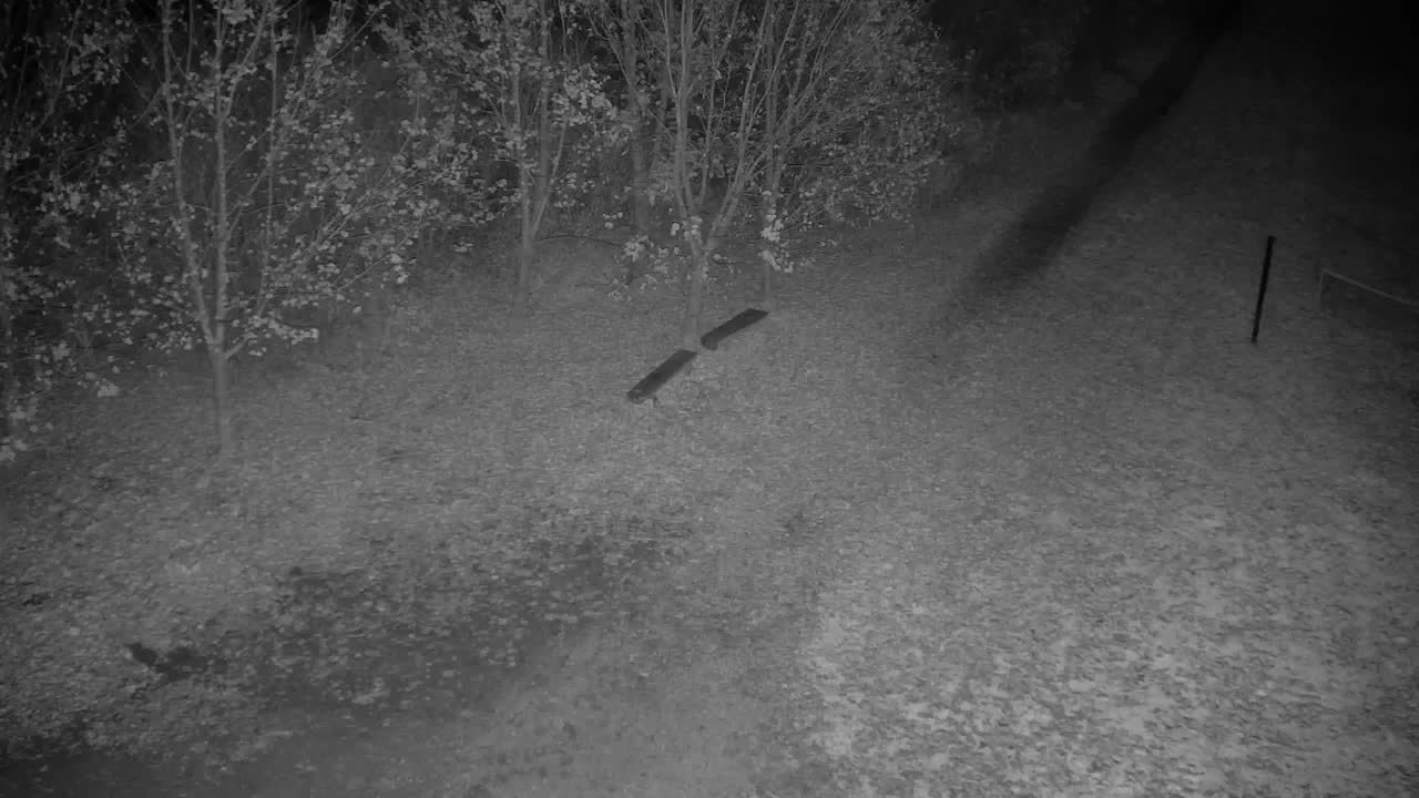 Webcam Ribnik Vrbje – Žalec