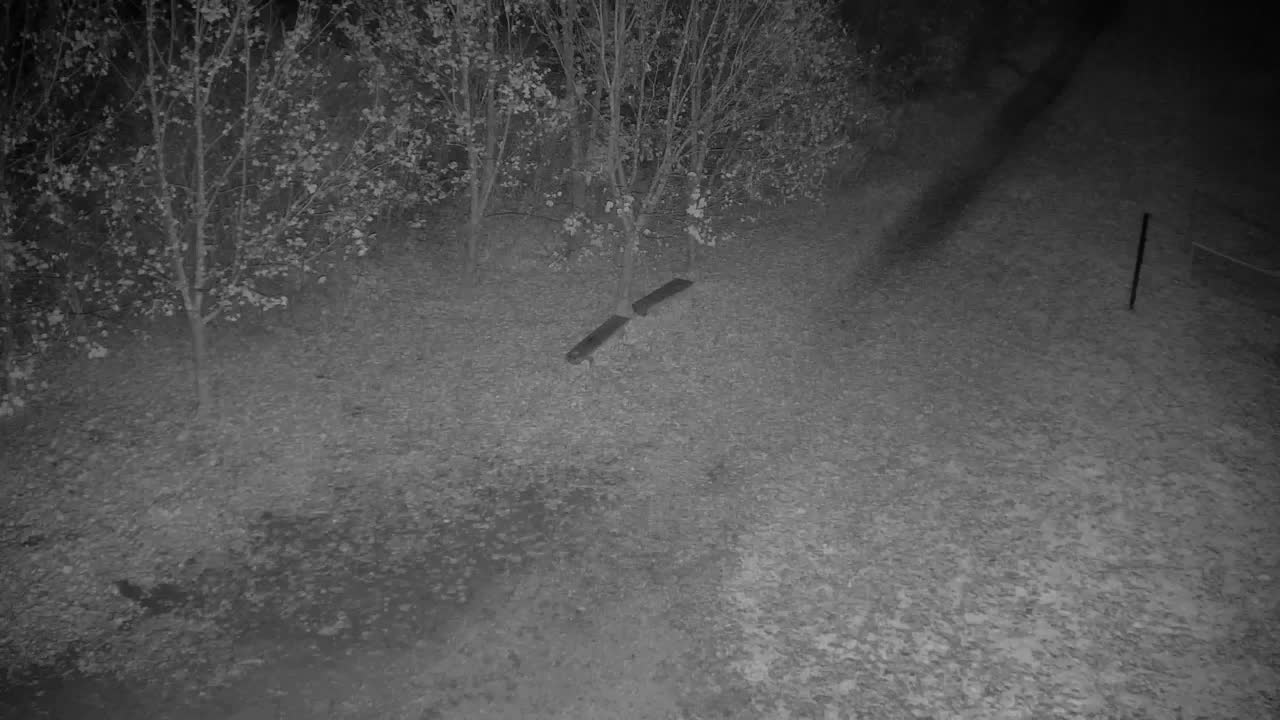 Webcam Ribnik Vrbje – Žalec