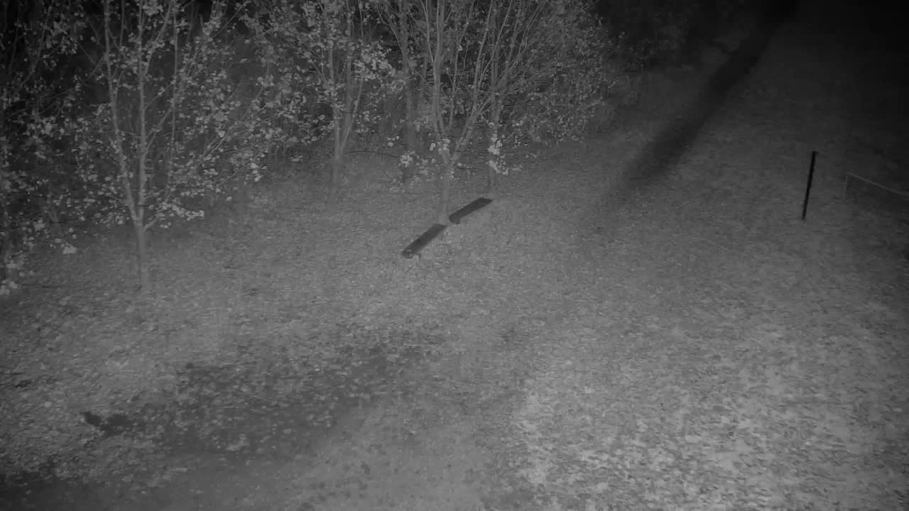 Webcam Ribnik Vrbje – Žalec