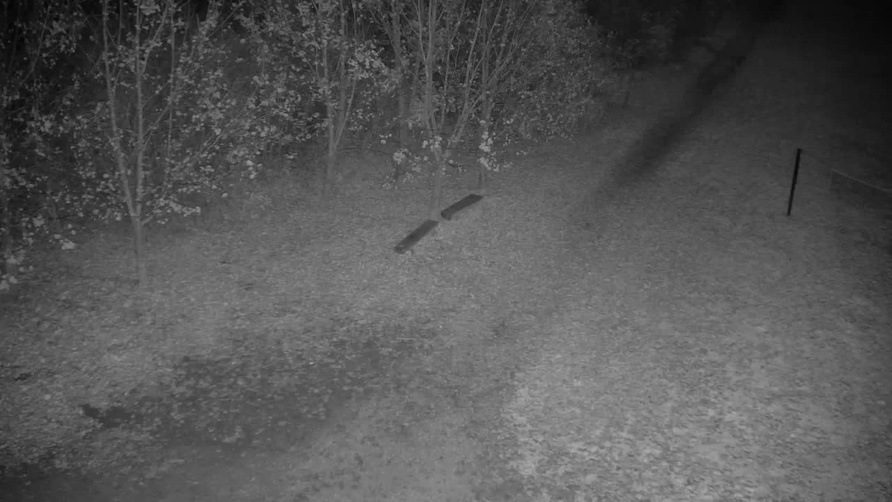 Webcam Ribnik Vrbje – Žalec