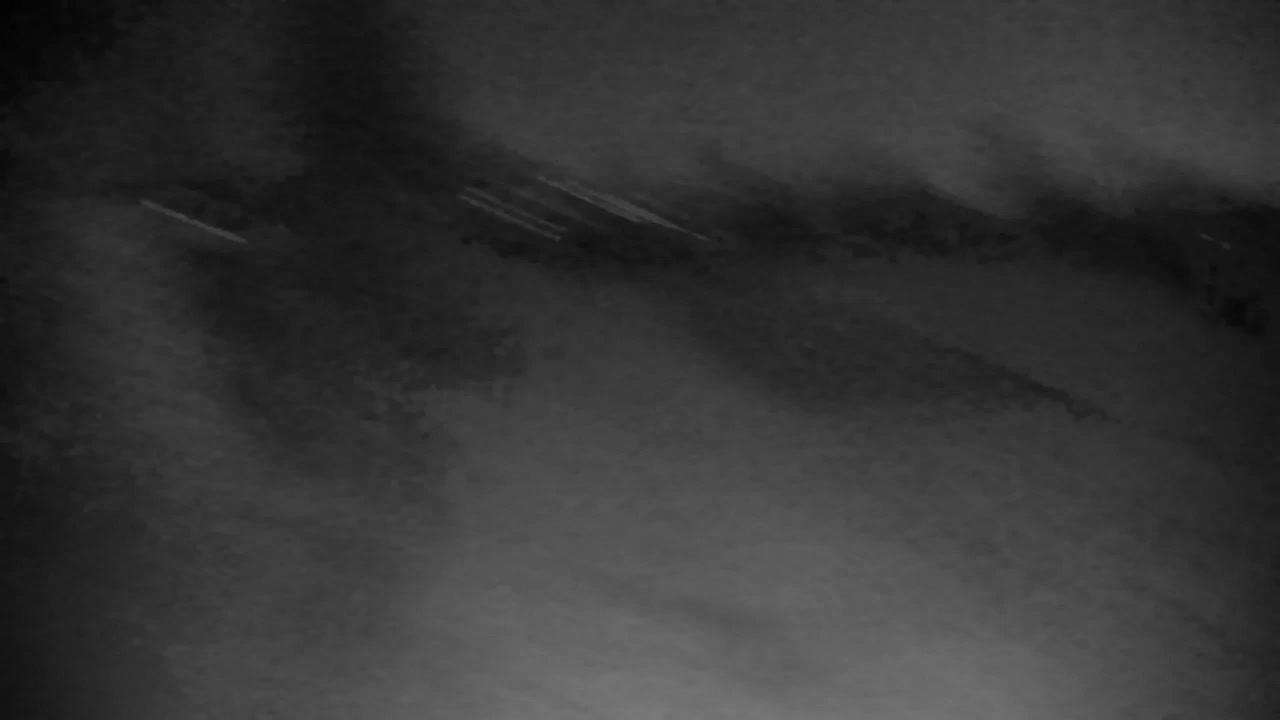 Webcam Ribnik Vrbje – Žalec