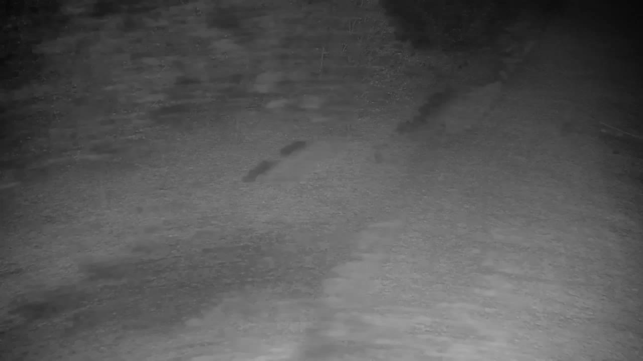 Webcam Ribnik Vrbje – Žalec