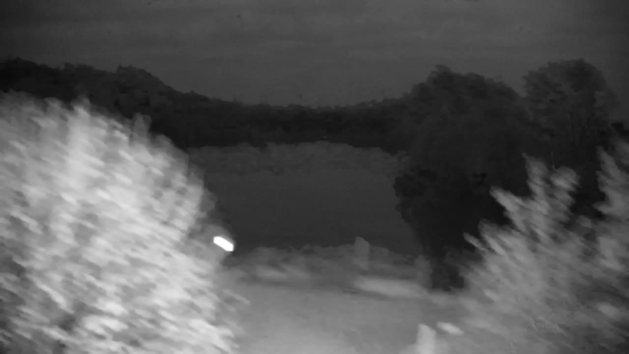 Webcam Ribnik Vrbje – Žalec