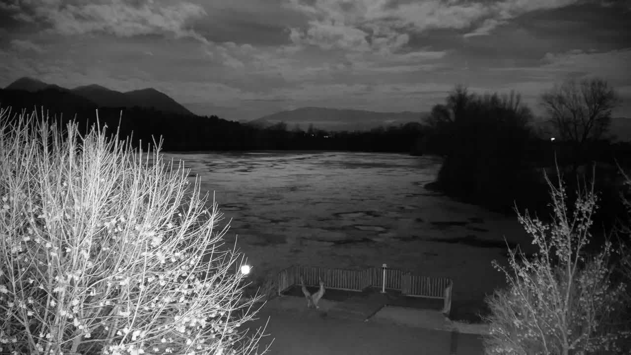 Webcam Ribnik Vrbje – Žalec