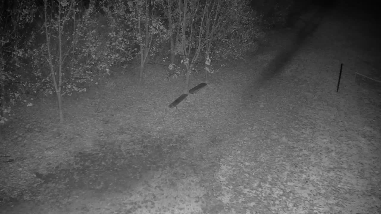 Webcam Ribnik Vrbje – Žalec