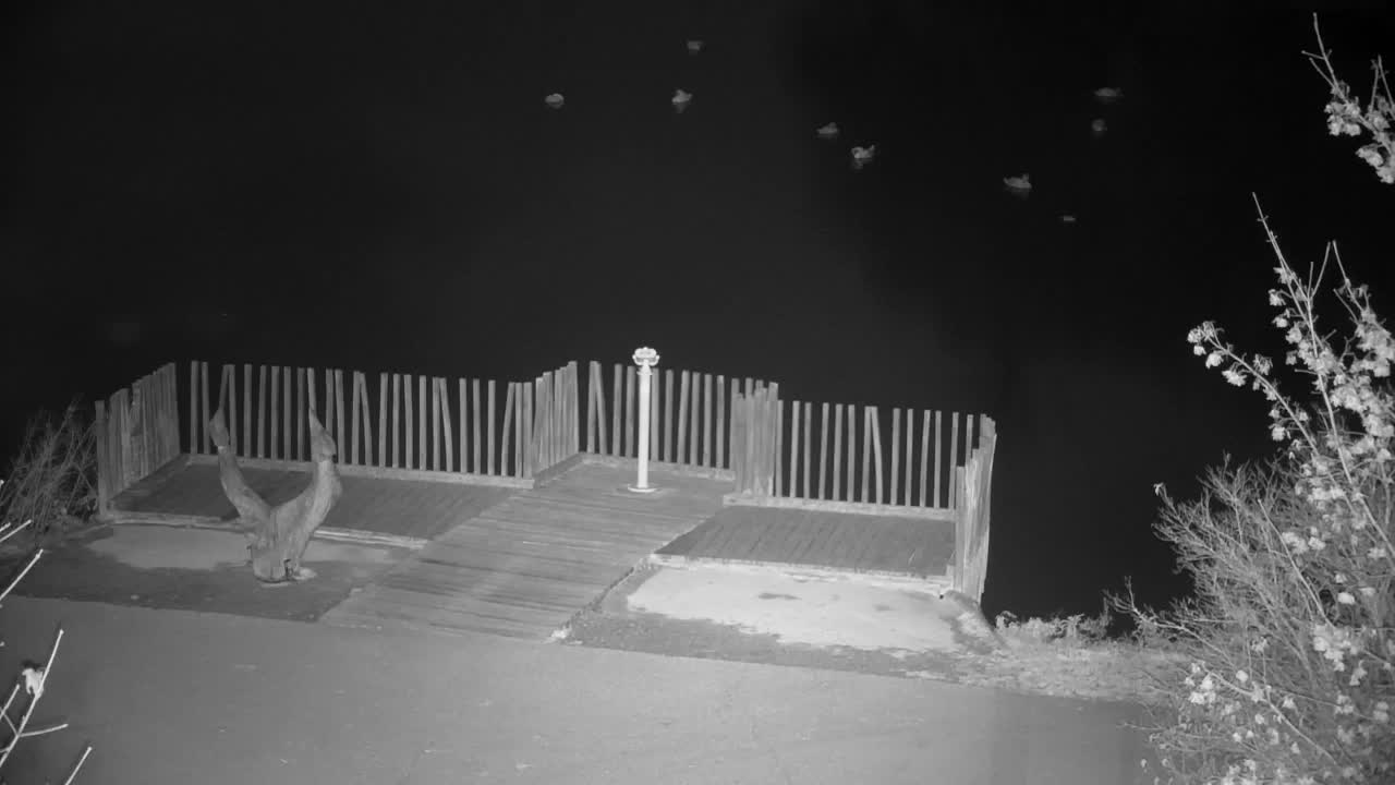 Webcam Ribnik Vrbje – Žalec