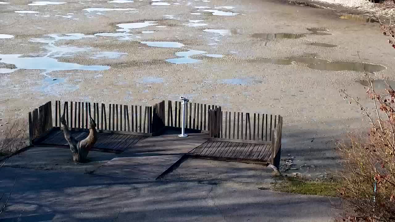 Webcam Ribnik Vrbje – Žalec