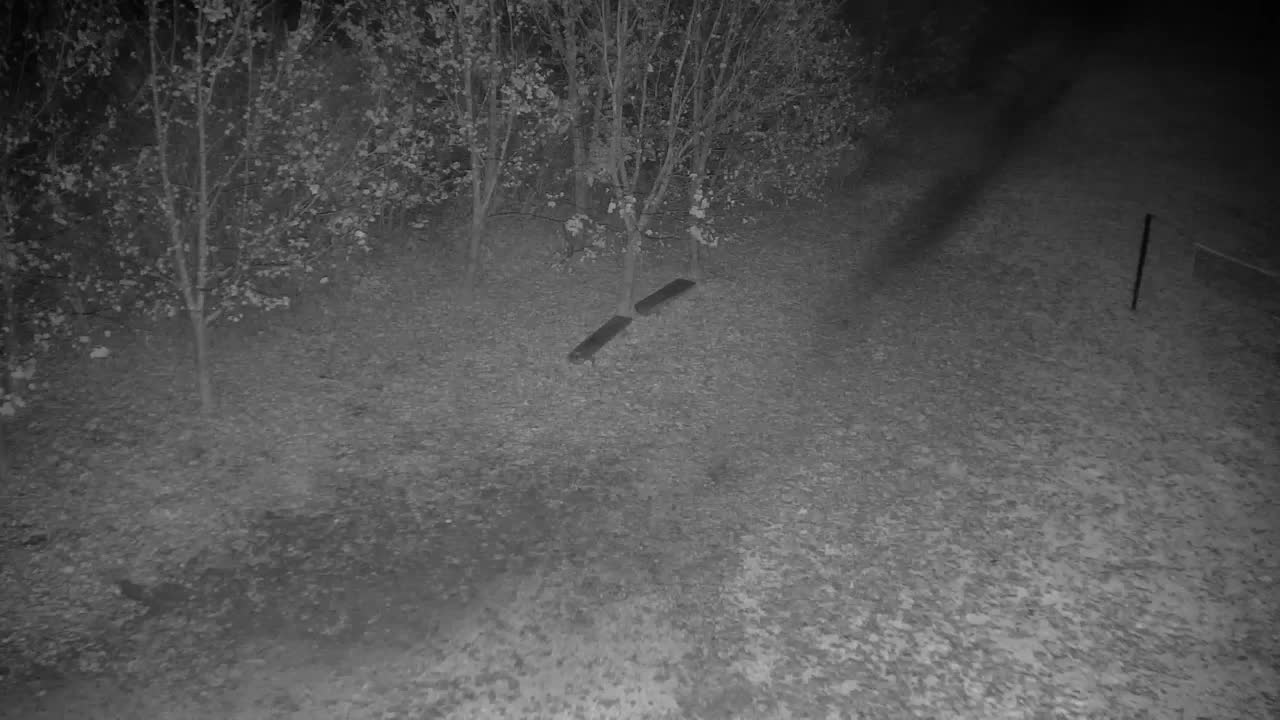 Web kamera Ribnik Vrbje – Žalec