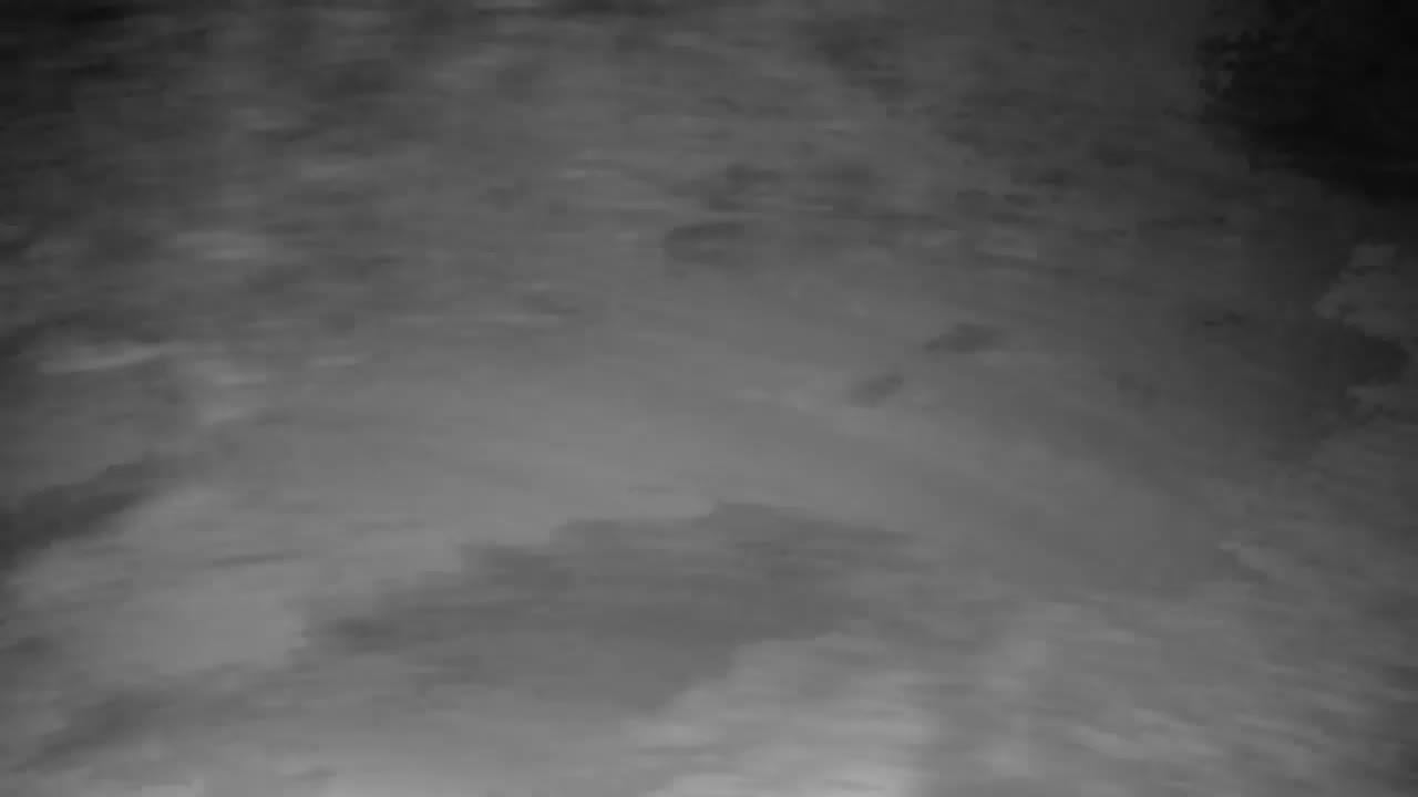 Spletna kamera Ribnik Vrbje – Žalec