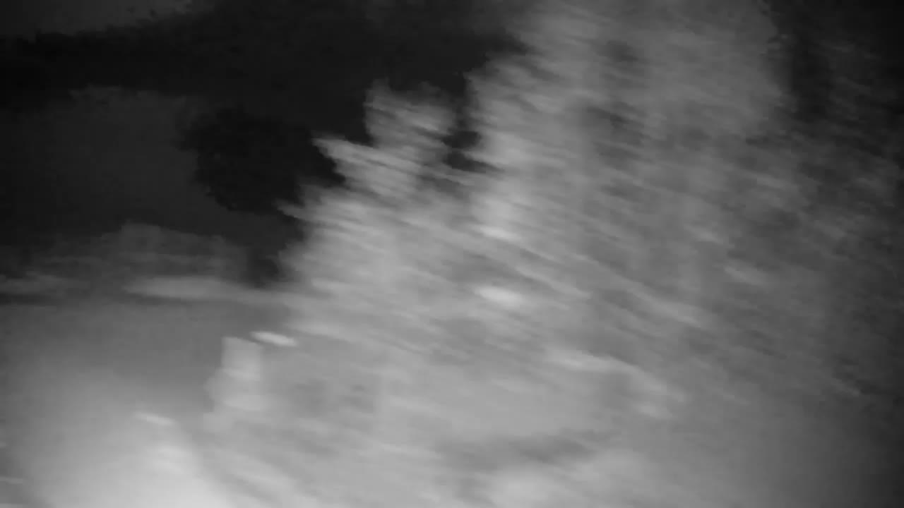 Webcam Ribnik Vrbje – Žalec