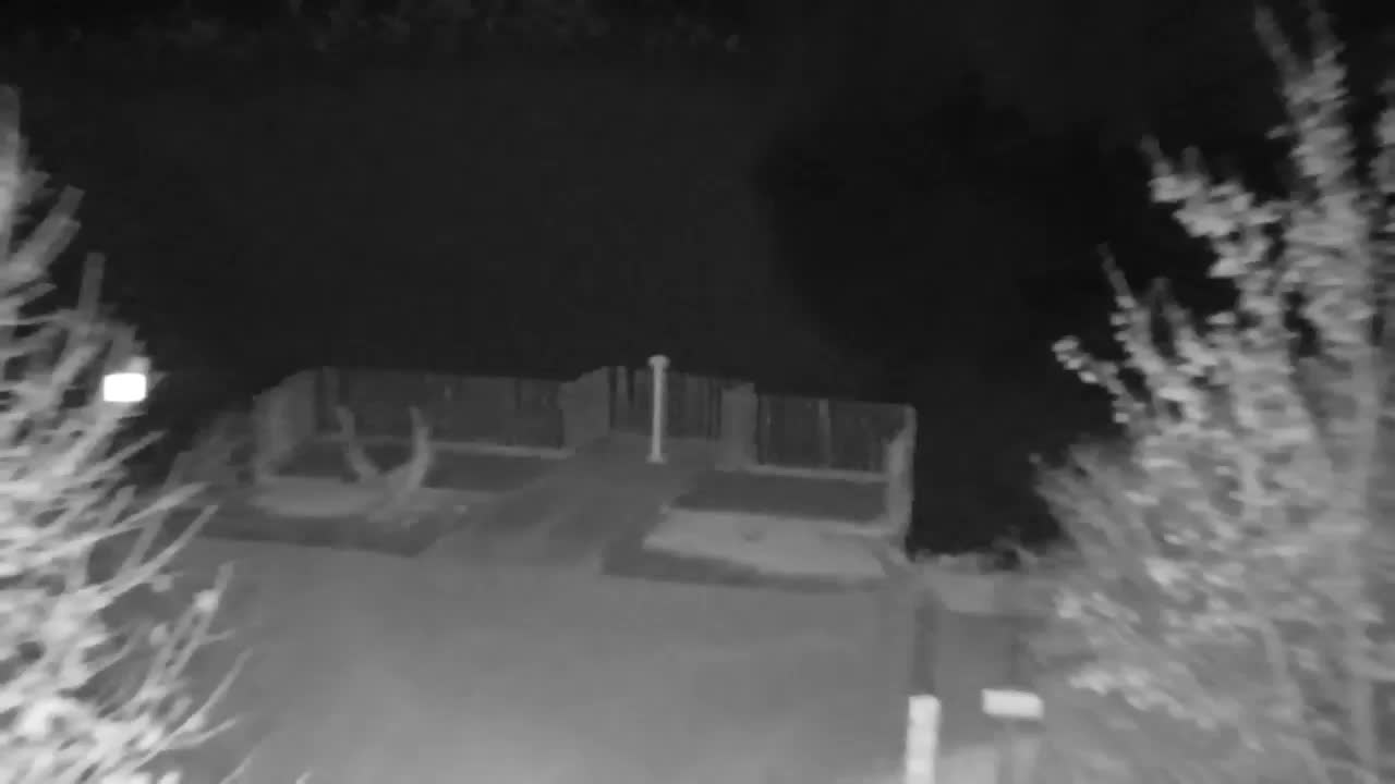 Webcam Ribnik Vrbje – Žalec