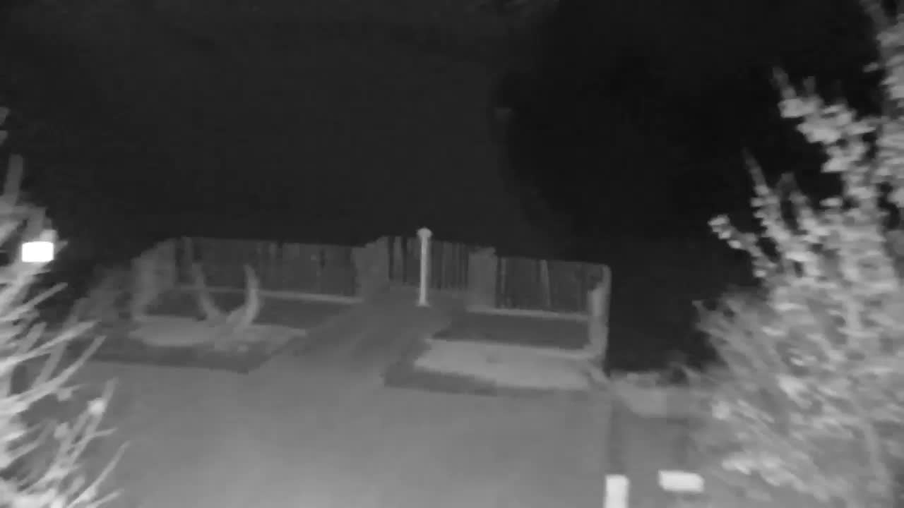 Webcam Ribnik Vrbje – Žalec