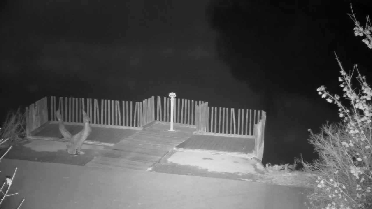 Webcam Ribnik Vrbje – Žalec