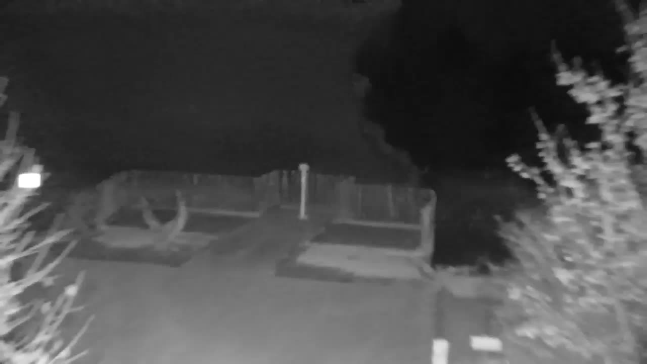 Web kamera Ribnik Vrbje – Žalec