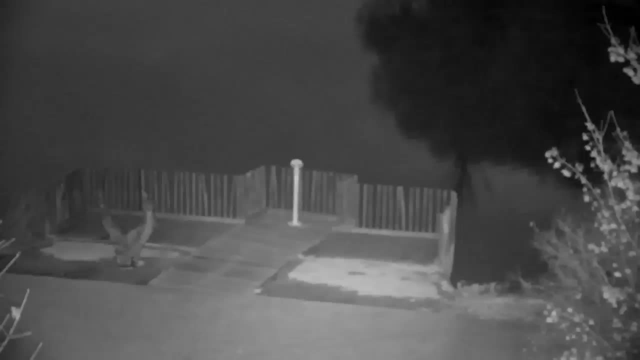 Webcam Ribnik Vrbje – Žalec