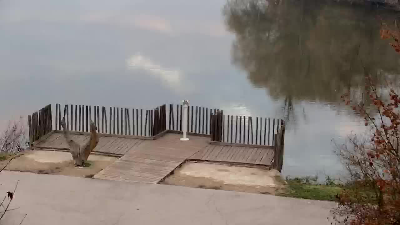 Webcam Ribnik Vrbje – Žalec