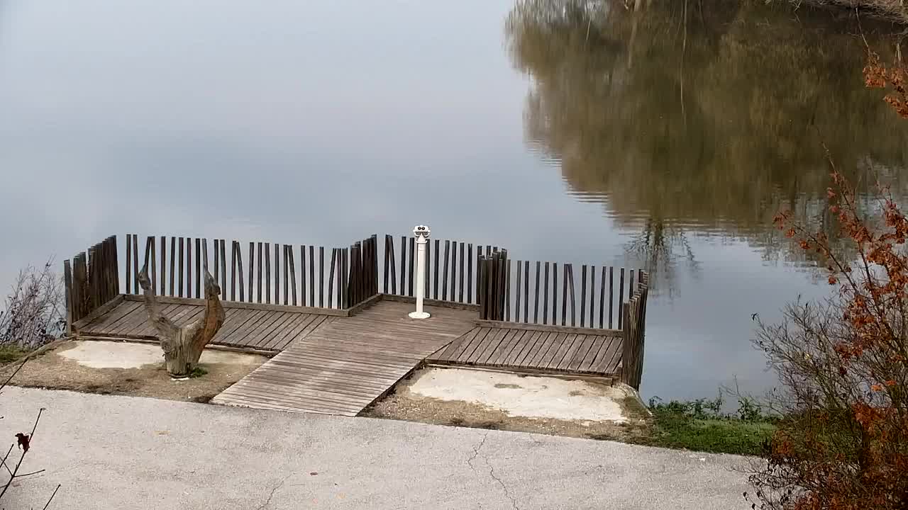 Webcam Ribnik Vrbje – Žalec