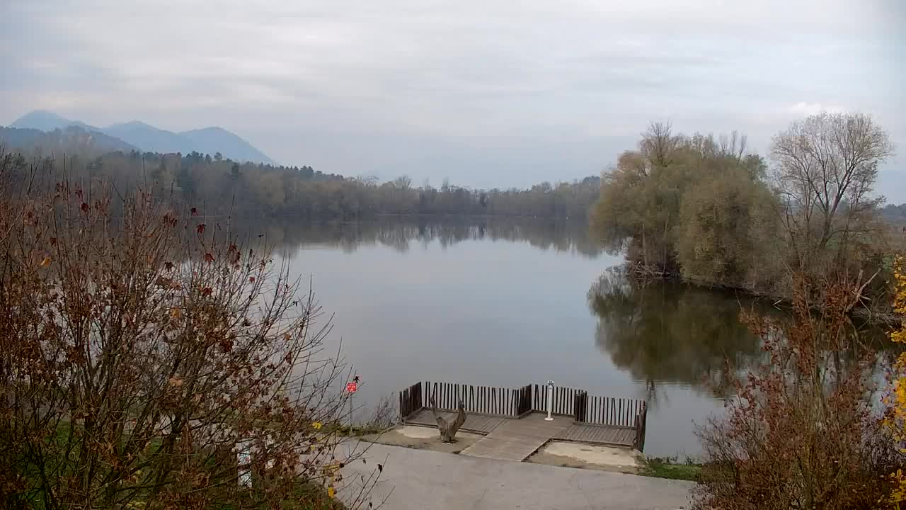 Webcam Ribnik Vrbje – Žalec