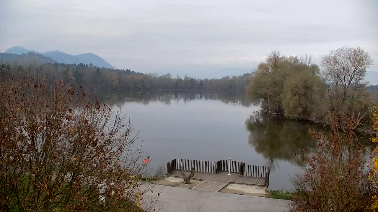 Webcam Ribnik Vrbje – Žalec